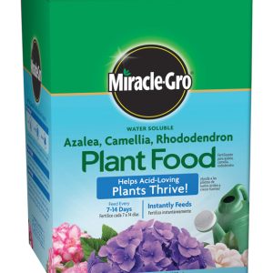 Miracle-Gro Powder Azalea, Camellia, Rhododendron Plant Food 1.5 lb