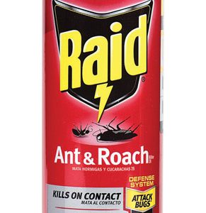 Raid Insect Killer Aerosol 17.5 oz