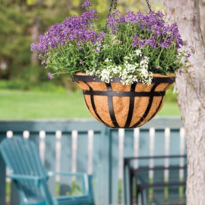 Living Accents Steel Hanging Basket Black