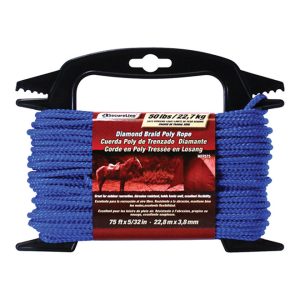 Wellington 5/32 in. D X 75 ft. L Assorted Diamond Braided Poly Cord