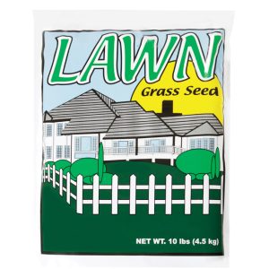 Barenbrug Annual Ryegrass Partial Shade/Sun Grass Seed 10 lb