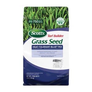 Scotts Turf Builder Heat-Tolerant Blue Mix Tall Fescue Grass Full Sun/Light Shade Grass Seed 3 lb