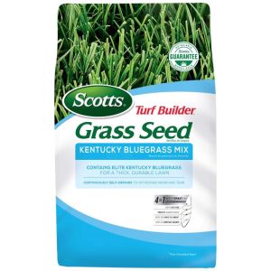Scotts Turf Builder Kentucky Bluegrass Sun or Shade Grass Seed 7 lb