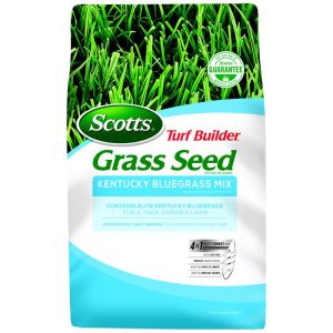 Scotts Turf Builder Kentucky Bluegrass Sun or Shade Grass Seed 3 lb