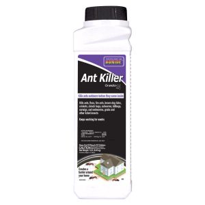 Bonide Ant Killer Granules Insect Killer Granules 1 lb