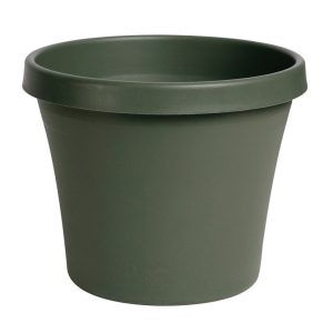 Bloem Terrapot 5.5 in. H X 6 in. D Resin Traditional Planter Thyme Green