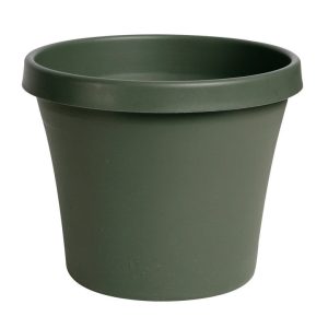 Bloem TerraPot 7 in. H X 8 in. D Resin Planter Living Green