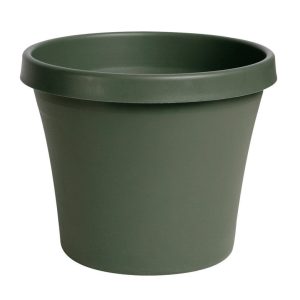 Bloem TerraPot 9 in. H X 10 in. D Resin Planter Living Green
