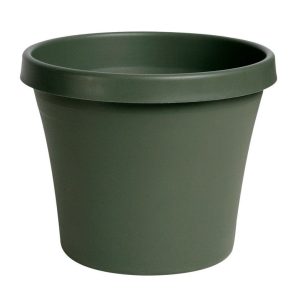 Bloem TerraPot 10.7 in. H X 12 in. D Resin Planter Living Green