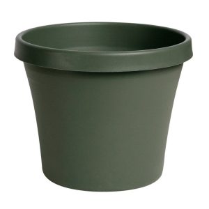 Bloem TerraPot 12.5 in. H X 14 in. D Resin Planter Living Green
