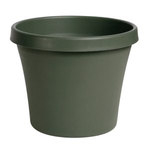 Bloem Terrapot 17.2 in. H Resin Traditional Planter Thyme Green