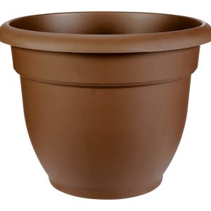 Bloem 10.2 in. H X 12 in. D Resin Ariana Planter Chocolate