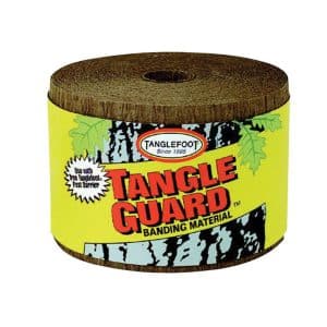 Tanglefoot