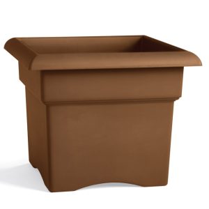 Bloem 11 in. H X 14 in. W Resin Veranda Planter Chocolate