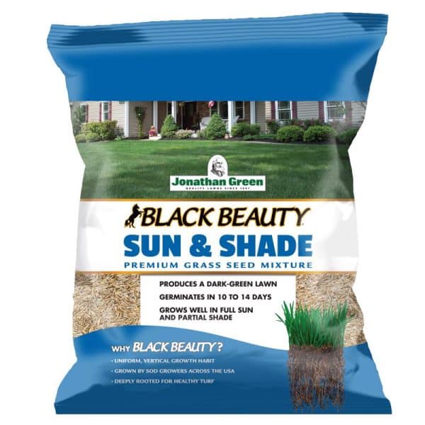 Jonathan Green Black Beauty Sun & Shade Mixed Partial Shade/Sun Grass Seed 3 lb