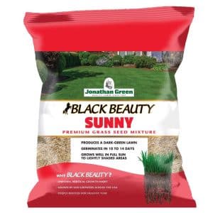 Jonathan Green Black Beauty Sun Mixed Full Sun Grass Seed 3 lb