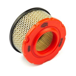 Briggs & Stratton Air Filter Cleaner