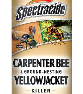 Spectracide Insect Killer Foam 16 oz