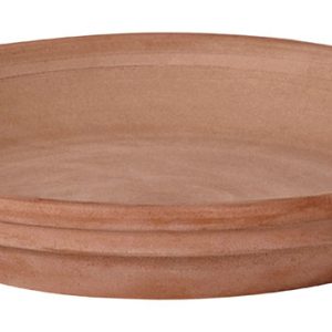 Deroma 1.2 in. H X 1.2 in. D X 9.3 in. D Clay Traditional Plant Saucer Chocolate