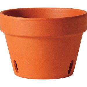 Deroma 3.8 in. H X 5.1 in. D Clay Orchid Planter Terracotta