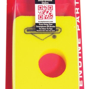 Briggs & Stratton Air Filter For 799579, 441618
