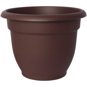 Bloem Terrapot 6.5 in. H X 6 in. D Resin Ariana Planter Chocolate