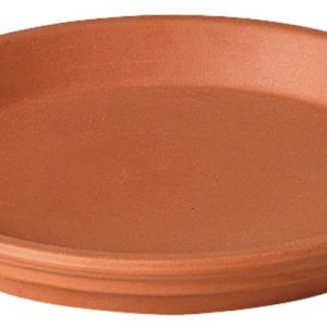 Deroma 1 in. H X 6.75 in. D Clay Traditional Plant Saucer Terracotta