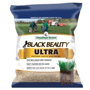 Jonathan Green Black Beauty All Grasses Sun or Shade Grass Seed 1 lb