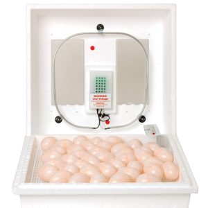 Little Giant Plastic Egg Incubator