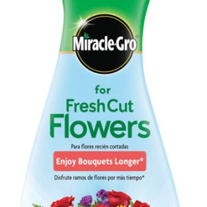 Miracle-Gro Liquid African Violet, Apple, Avocado, Azalea, Barberry and Bean Plant Food 8 oz
