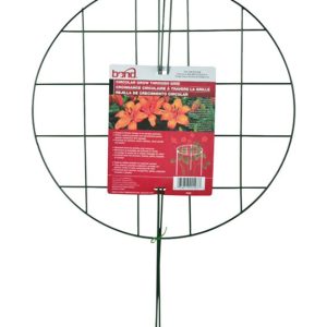 Bond 24 in. H Green Vinyl Plant Support