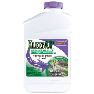 Bonide KleenUp Weed and Grass Killer Concentrate 32 oz