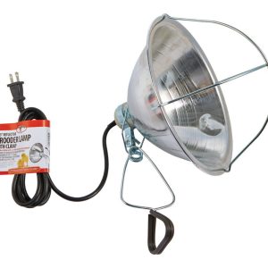 Little Giant Aluminum Incubator