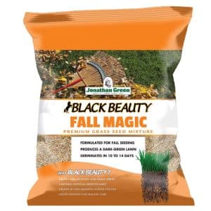 Jonathan Green Black Beauty All Grasses Sun or Shade Grass Seed Mixture 3 lb