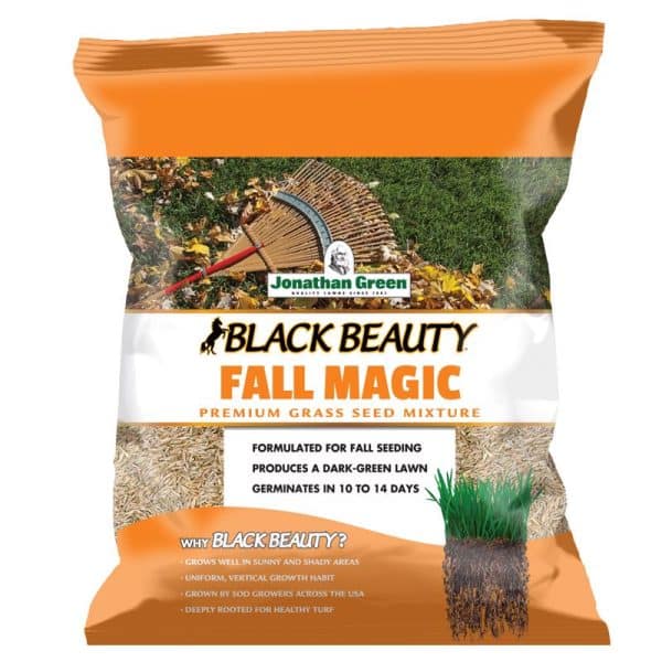 Jonathan Green Black Beauty All Grasses Sun or Shade Grass Seed Mixture 3 lb