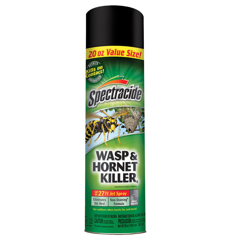 Spectracide Wasp and Hornet Killer Liquid 20 oz - PaintPlace New York