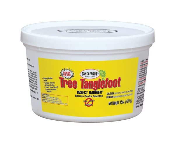 Tanglefoot Tree Insect Barrier Paste For Variety of Insects 15 oz