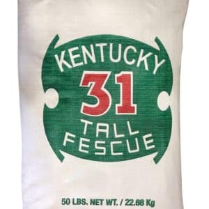 Barenbrug Kentucky 31 Tall Fescue Grass Full Sun/Medium Shade Grass Seed 50 lb