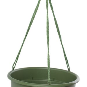Bloem 6.8 in. H X 12.4 in. D Resin Dura Cotta Hanging Basket Living Green