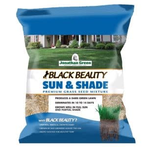 Jonathan Green Black Beauty Mixed Partial Shade/Sun Grass Seed 1 lb