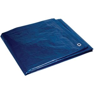Foremost Tarp Co. 10 ft. W X 12 ft. L Heavy Duty Polyethylene Tarp Blue