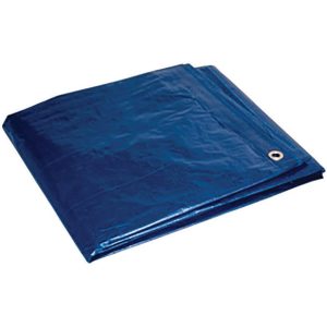 Foremost Tarp Co. 6 ft. W X 8 ft. L Heavy Duty Polyethylene Tarp Blue