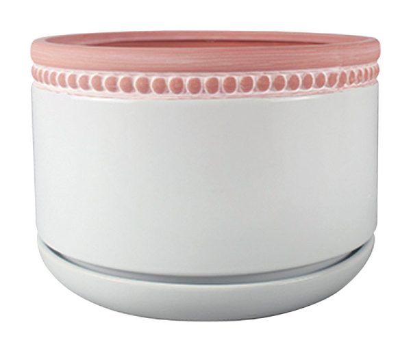 Trendspot 4.4 in. H X 5.95 in. W X 6 in. D Ceramic Ceramic Pot Whitewash