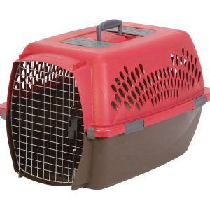 Aspen Pet Plastic Pet Porter Multicolored 18.6 in. H X 16.5 in. W X 26.2 in. D