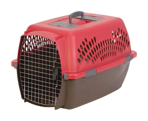 Aspen Pet Plastic Pet Porter Multicolored 18.6 in. H X 16.5 in. W X 26.2 in. D