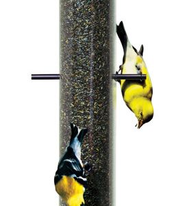 Perky-Pet Finch 2 lb Plastic Bird Feeder 6 ports