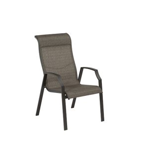 Living Accents Icarus Black Aluminum Frame Chair