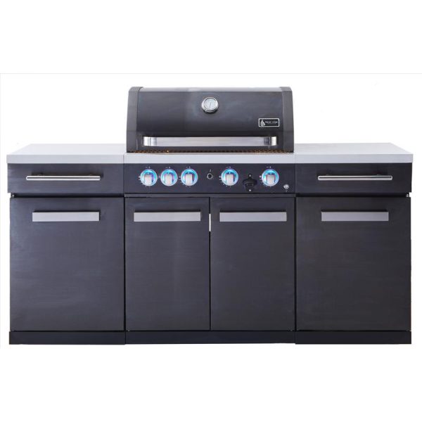 Mont Alpi 4 Burner Natural Gas/Propane Grill Black/Silver