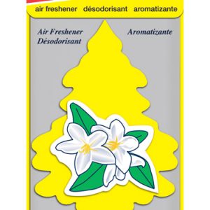 Little Trees Car Air Freshener 1 pk