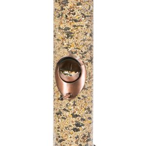 Perky-Pet Wild Bird and Finch 1.8 lb Plastic Bird Feeder 4 ports